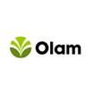 Olam