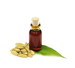 Cardamom Oleoresin