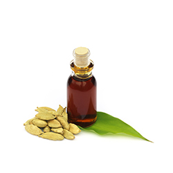 Cardamom Oleoresin