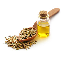 Fennel Oil