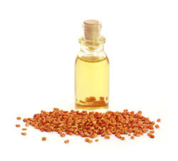 Fenugreek Oil