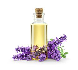 Lavender Oil