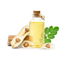 Moringa Seed Oil