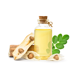 Moringa Seed Oil