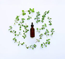 Oregano Oil
