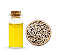 White Pepper Oil