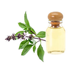 Basil Oil