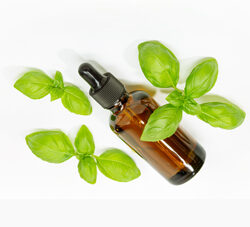 Basil Oleoresin