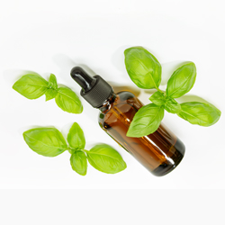 Basil Oleoresin
