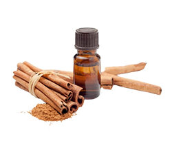 Cinnamon Leaf Oil