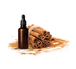 Cinnamon Oleoresin
