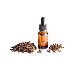 Clove Oleoresin