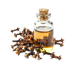 Clove Oil
