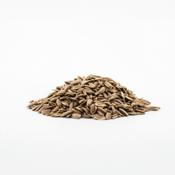 Cumin