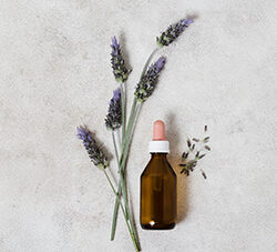 Lavender Oleoresin