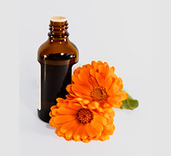 Marigold Oleoresin