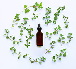 Thyme Oleoresin