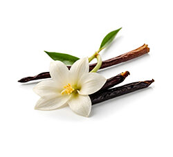 Vanilla Oleoresin