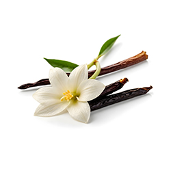 Vanilla Oleoresin