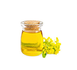 Cassia Oil