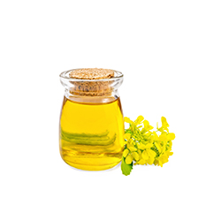 Cassia Oil