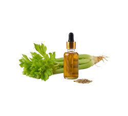 Celery Oleoresin