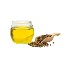 Celery Seed Oil