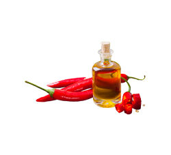 Chilli Seed Oil