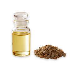 Dill Seed Oil