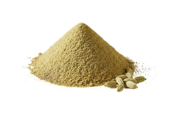 Fennel Powder