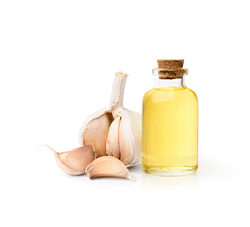 Garlic Oil