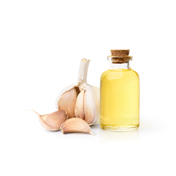 Garlic Oil