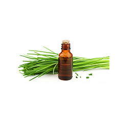 Ginger Grass Oil