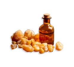 Olibanum Oil