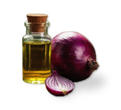 Onion Oil
