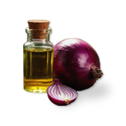 Onion Oil