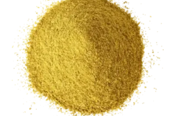 Coriander Powder